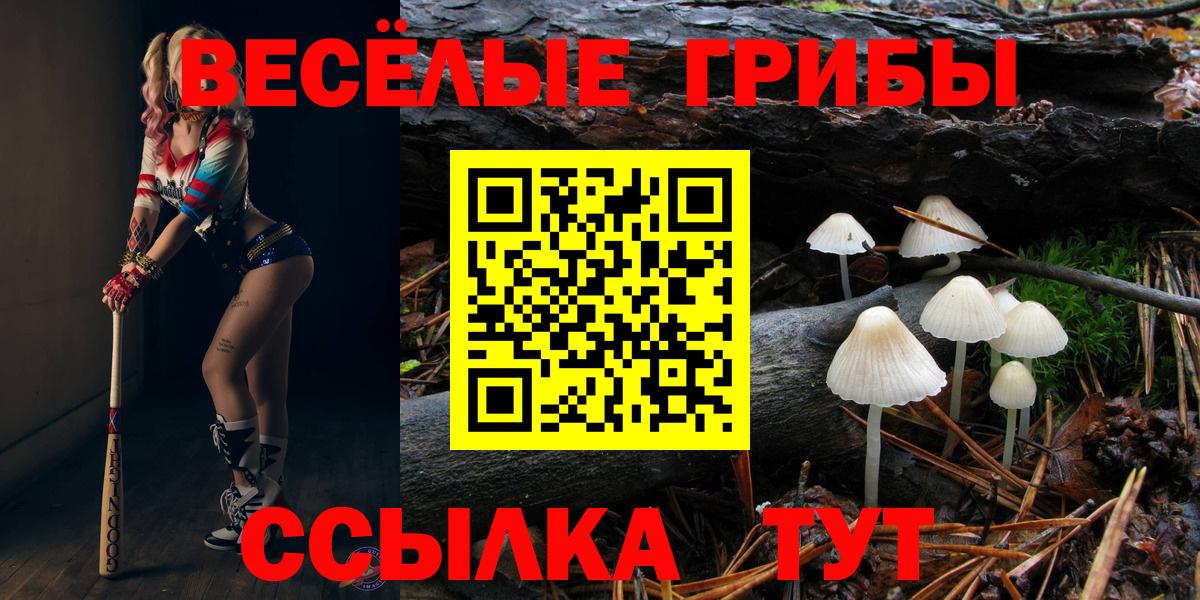 Псилоцибиновые грибы ЛСД Кандалакша